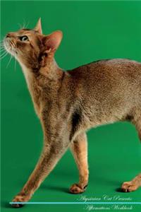Abyssinian Cat Affirmations Workbook Abyssinian Cat Presents
