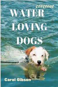 Gorgeous Water Loving Dogs