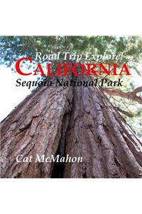 Road Trip Explore! California--Sequoia National Park