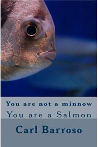You are not a minnow