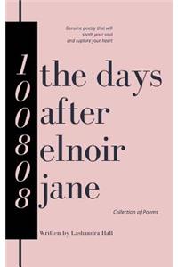 The Days After Elnoir Jane