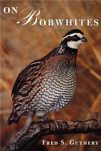 On Bobwhites