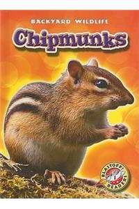 Chipmunks