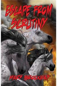 Escape From Scrutiny