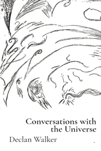 conversations with the universe