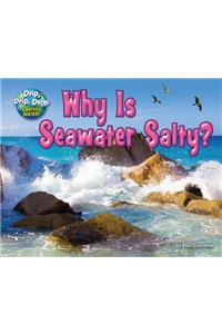 Why Is Seawater Salty?