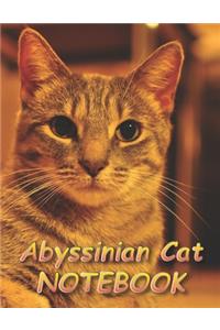 Abyssinian Cat NOTEBOOK