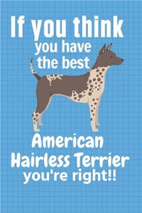 If you think you have the best American Hairless Terrier you're right!!