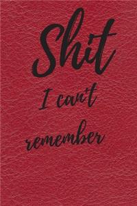 Shit I Can't Remember