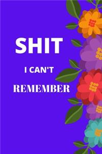 Shit I Can't Remember