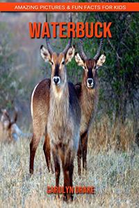 Waterbuck