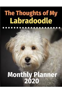 The Thoughts of My Labradoodle