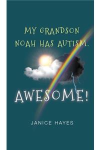 My Grandson Noah has Autism