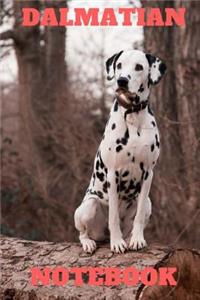 Dalmatian Notebook