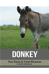 Donkey: Fun Facts & Cool Pictures
