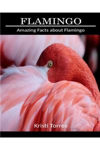 Amazing Facts about Flamingo