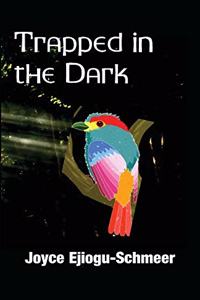 Trapped in the Dark