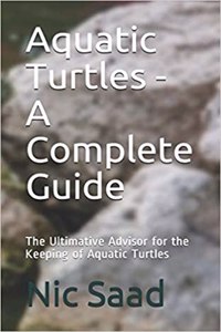Aquatic Turtles - A Complete Guide