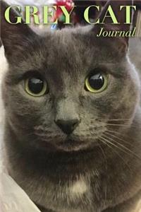 Grey Cat Journal
