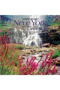 New York Wild & Scenic 2021 Mini 7x7