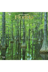 Florida Wild & Scenic 2021 Square Foil