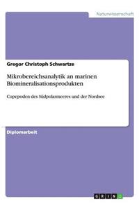 Mikrobereichsanalytik an marinen Biomineralisationsprodukten
