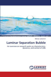 Laminar Separation Bubble