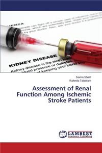 Assessment of Renal Function Among Ischemic Stroke Patients