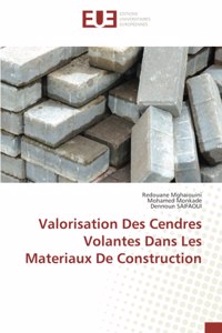 Valorisation Des Cendres Volantes Dans Les Materiaux De Construction