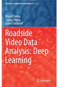 Roadside Video Data Analysis