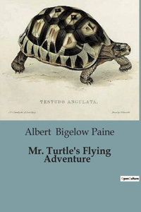 Mr. Turtle's Flying Adventure