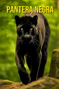 Pantera negra