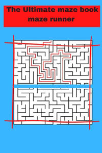 Ultimate maze book maze runner