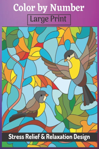 Color by Number Large Print Stress Relief & Relaxation Design