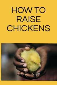 How to raise chickens