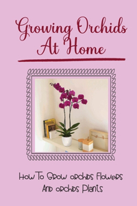 Growing Orchids At Home