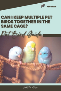 Can I keep multiple pet birds together in the same cage?: Pet bird guide