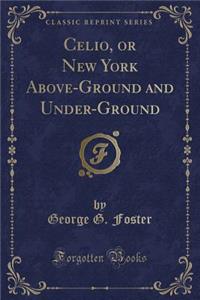 Celio, or New York Above-Ground and Under-Ground (Classic Reprint)