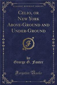 Celio, or New York Above-Ground and Under-Ground (Classic Reprint)