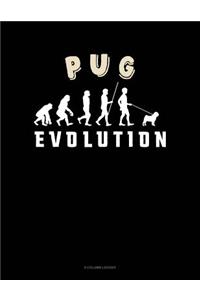 Pug Evolution