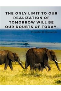 The Only Limit To Our Realization Of Tomorrow Will Be Our Doubts Of Today.