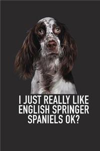 I Just Really Like English Springer Spaniels Ok?