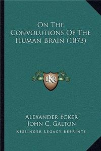 On the Convolutions of the Human Brain (1873)