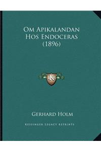 Om Apikalandan Hos Endoceras (1896)