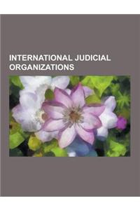 International Judicial Organizations: Council of Europe, International Law Commission, International Courts and Tribunals, International Law Enforceme