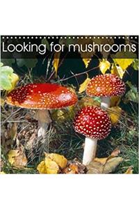 Looking for Mushrooms 2018