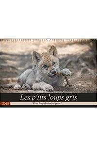 P'tits Loups Gris 2018