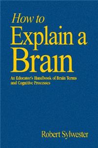 How to Explain a Brain