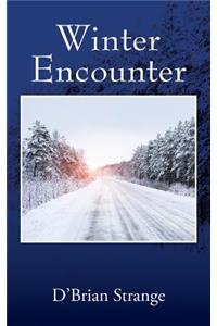 Winter Encounter