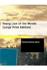 Young Lion of the Woods